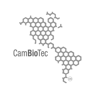 logo-5